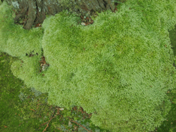f0009457_22111628.jpg