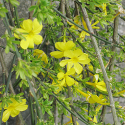 f0009457_2281633.jpg