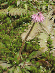 f0009457_2291158.jpg