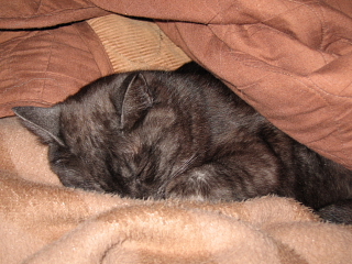 a0021558_17314436.jpg