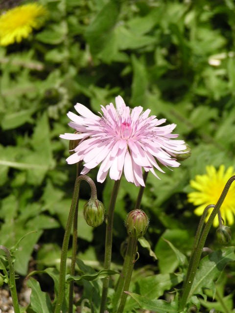 f0074659_0104527.jpg