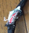 e0001962_22424222.jpg