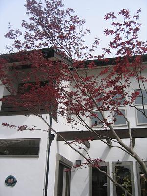 e0031568_1125389.jpg