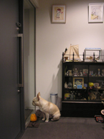 d0041074_225249.jpg