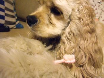 f0074680_053165.jpg