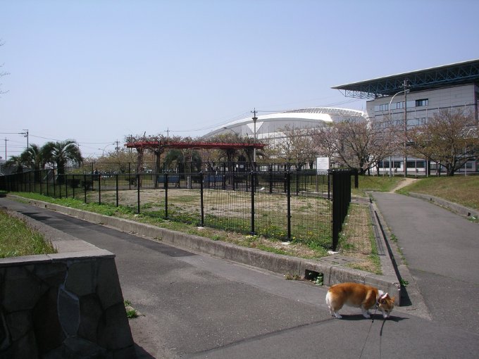 b0062687_10411720.jpg