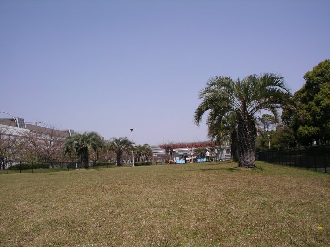 b0062687_10413681.jpg