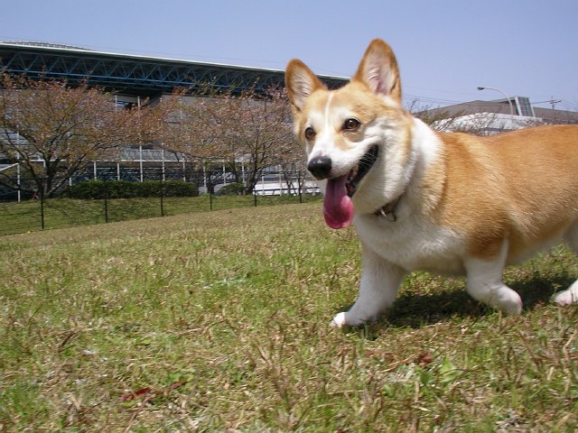 b0062687_10425472.jpg