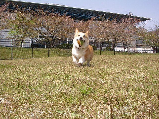 b0062687_10433222.jpg