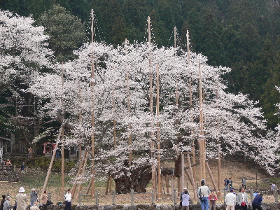 f0103688_2321133.jpg