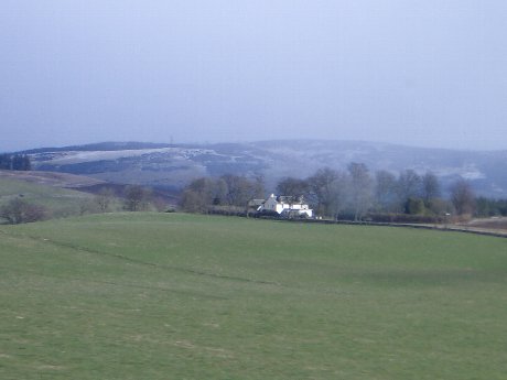 f0046489_516195.jpg
