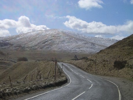 f0046489_523267.jpg