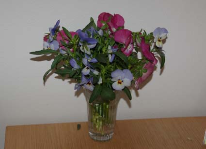 f0094391_23584312.jpg