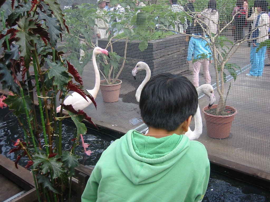 f0013998_517157.jpg
