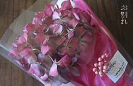 e0091804_16275292.jpg