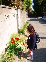 f0048105_4562580.jpg