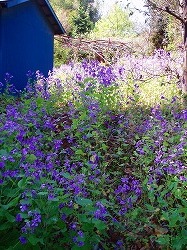 f0048105_4563653.jpg