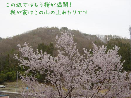 f0064906_11314795.jpg