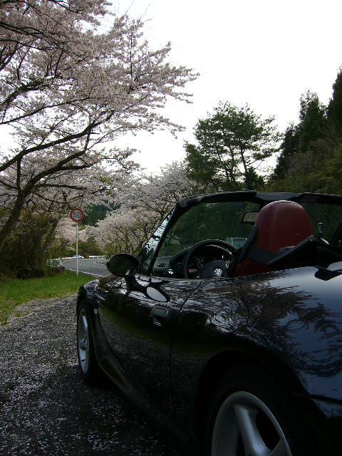 e0015108_1425762.jpg