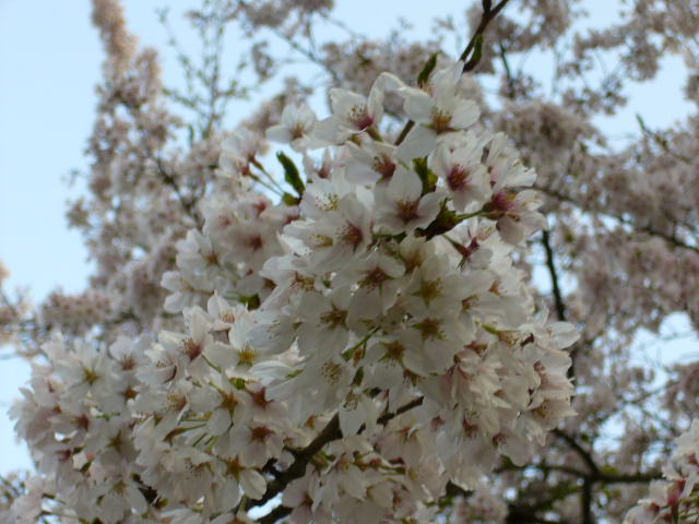e0015108_1462275.jpg