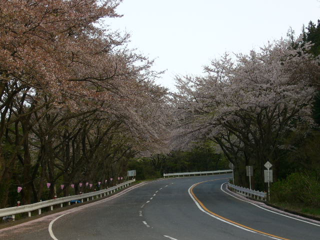 e0015108_1472780.jpg