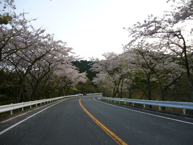 e0015108_1501136.jpg