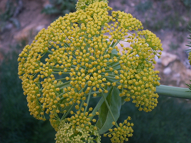 c0051718_23555867.jpg