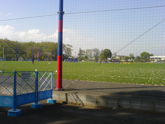 d0048818_2014526.jpg