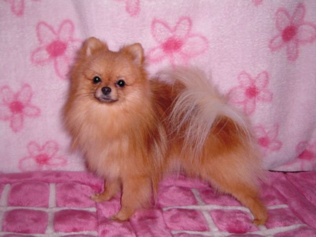 f0012924_2264893.jpg