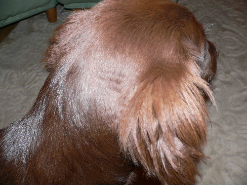 c0040240_12322275.jpg