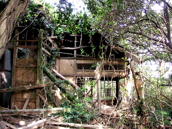 a0003150_647043.jpg