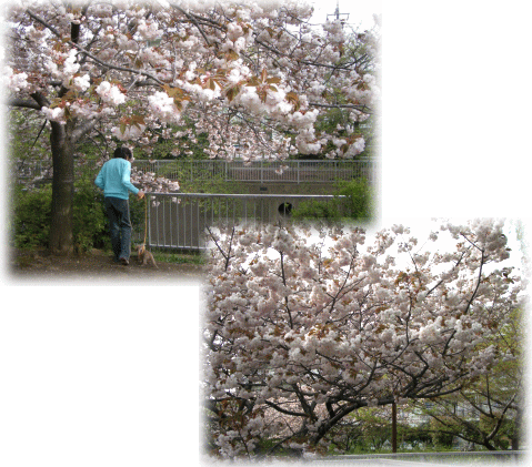 c0025852_15391177.gif