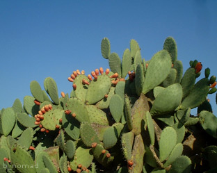 c0030455_2351765.jpg