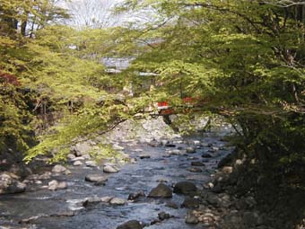 c0064161_12441958.jpg