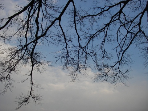 a0043982_18265166.jpg