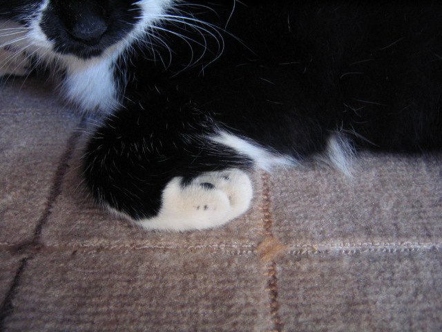 c0023782_1516864.jpg