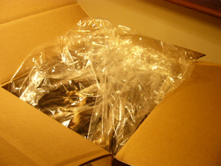 f0077097_19434474.jpg