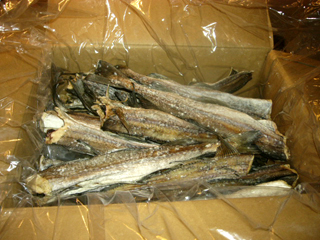 f0077097_19441369.jpg