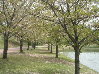 b0061107_9265941.jpg