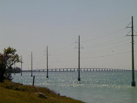 d0042715_1564898.jpg