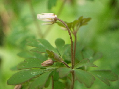 c0042418_2042745.jpg