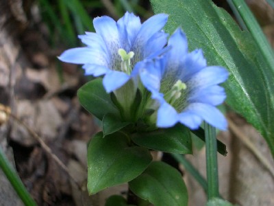c0042418_2064871.jpg
