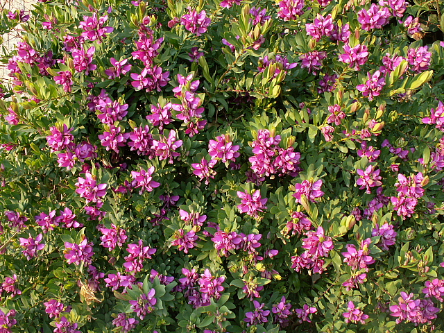 c0051718_0274665.jpg
