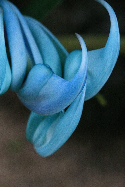 f0031423_20234344.jpg