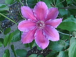 f0060424_8421216.jpg