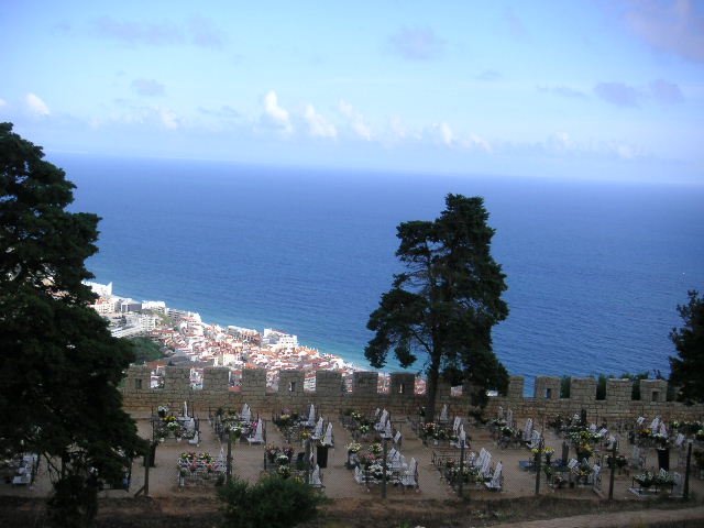 b0075825_1142527.jpg