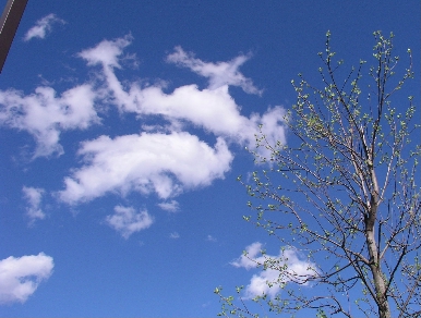 e0071225_20531290.jpg
