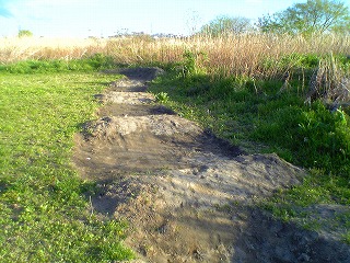 c0031126_19183662.jpg