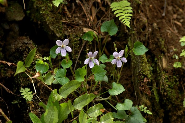 c0027027_1953853.jpg
