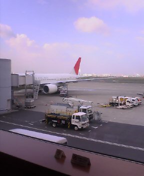 d0004728_7323663.jpg